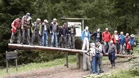 Daily Gifdump Daily Gifdump