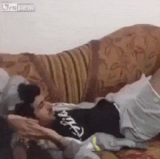 Daily Gifdump Daily Gifdump