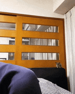 Daily Gifdump Daily Gifdump