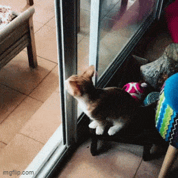 Daily Gifdump Daily Gifdump