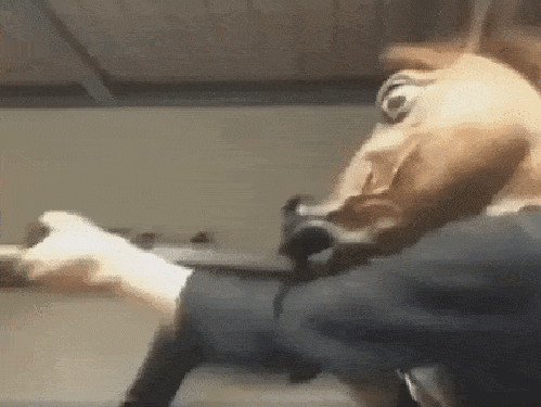 Daily Gifdump Daily Gifdump