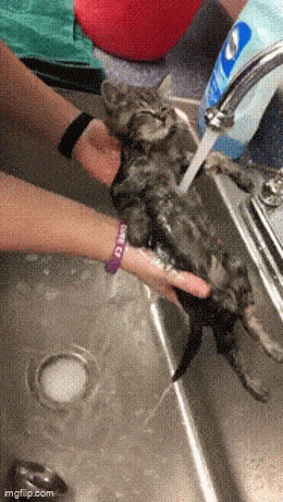 Daily Gifdump Daily Gifdump