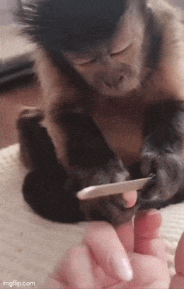 Daily Gifdump Daily Gifdump