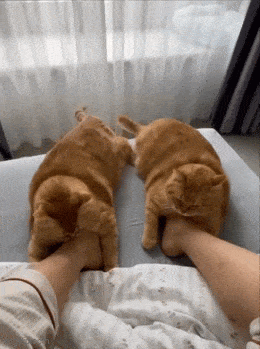 Daily Gifdump Daily Gifdump