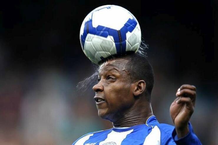 Daily Picdump Daily Picdump