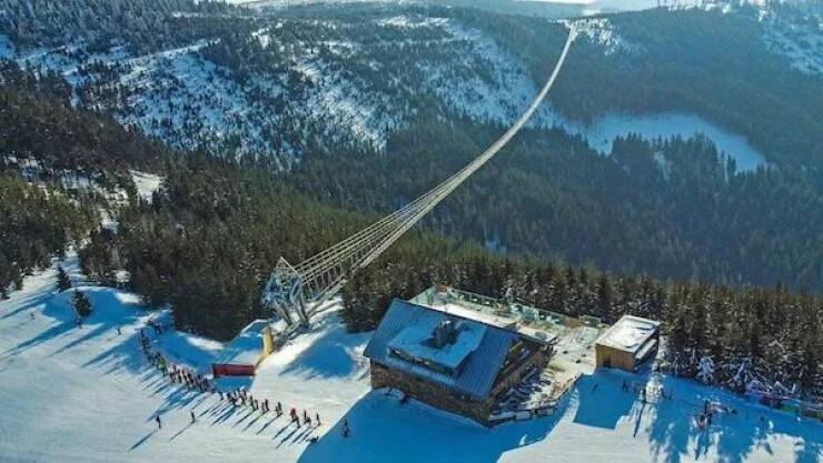 Daily Picdump Daily Picdump