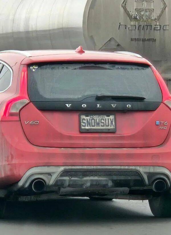 Daily Picdump Daily Picdump