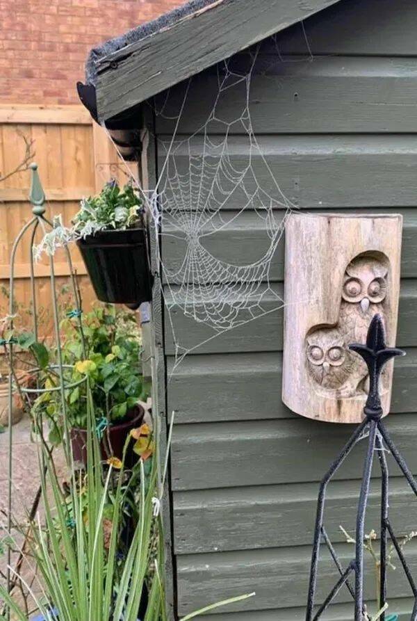 Daily Picdump Daily Picdump