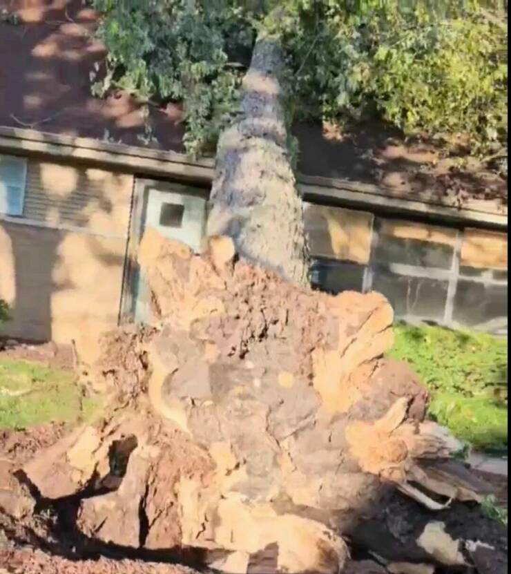 Daily Picdump Daily Picdump