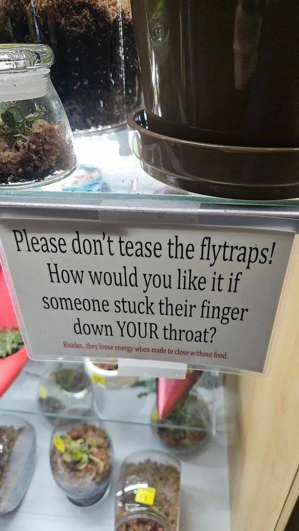 Daily Picdump Daily Picdump