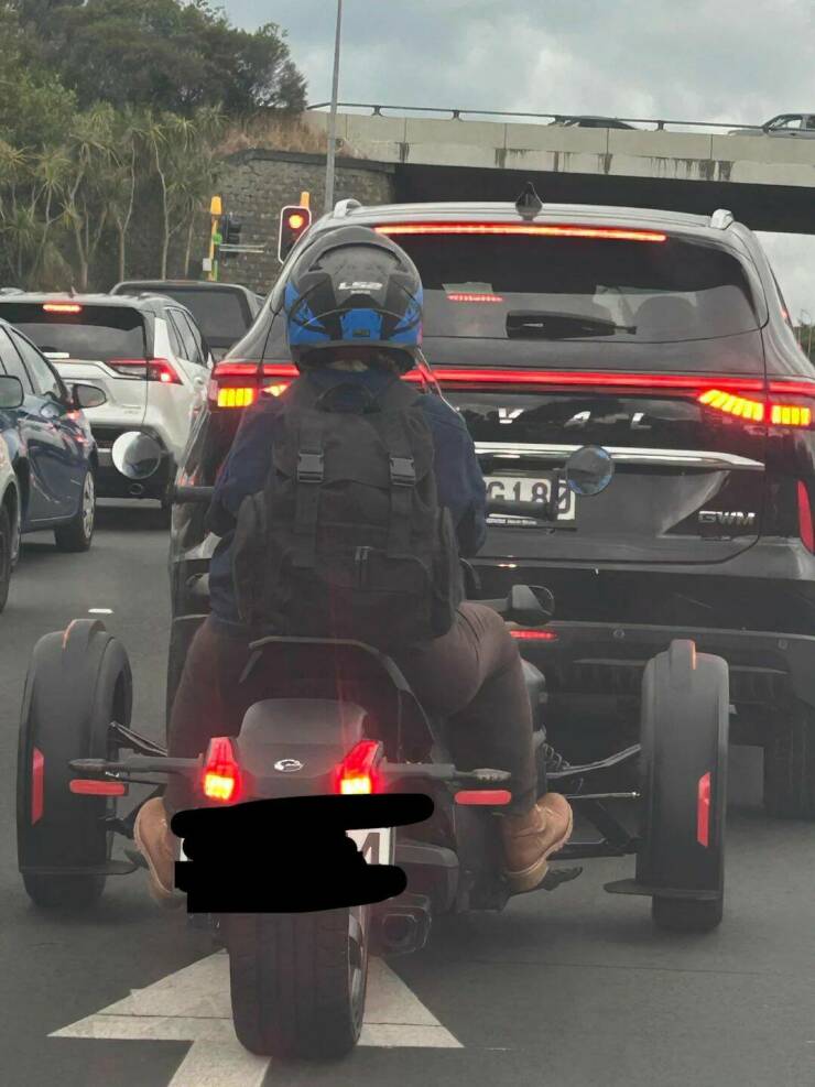 Daily Picdump Daily Picdump