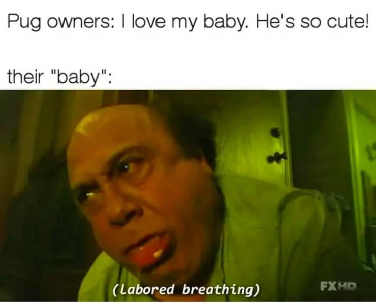 Funny Picdump Funny Picdump