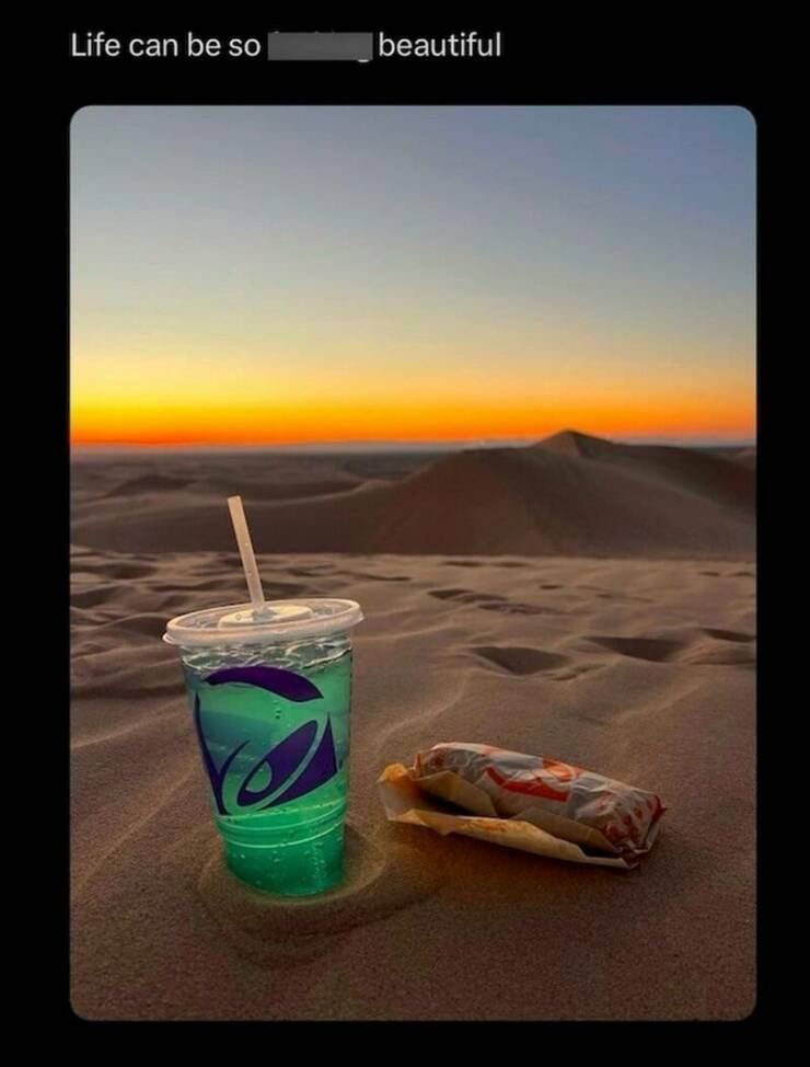 Funny Picdump Funny Picdump