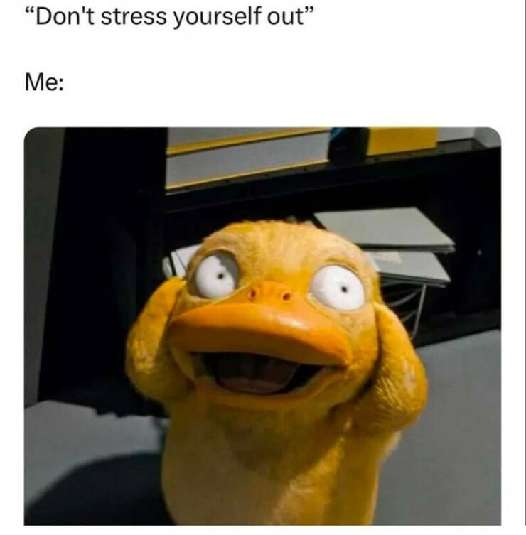 Funny Picdump Funny Picdump