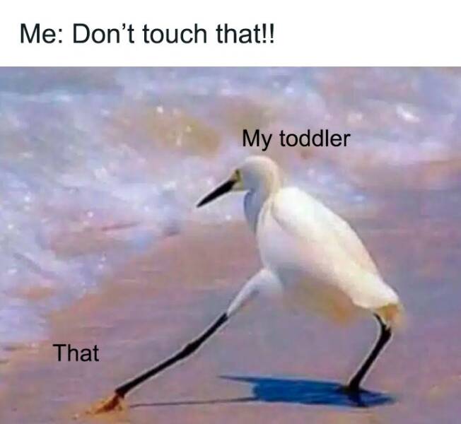 Mom Life In Memes Mom Life In Memes