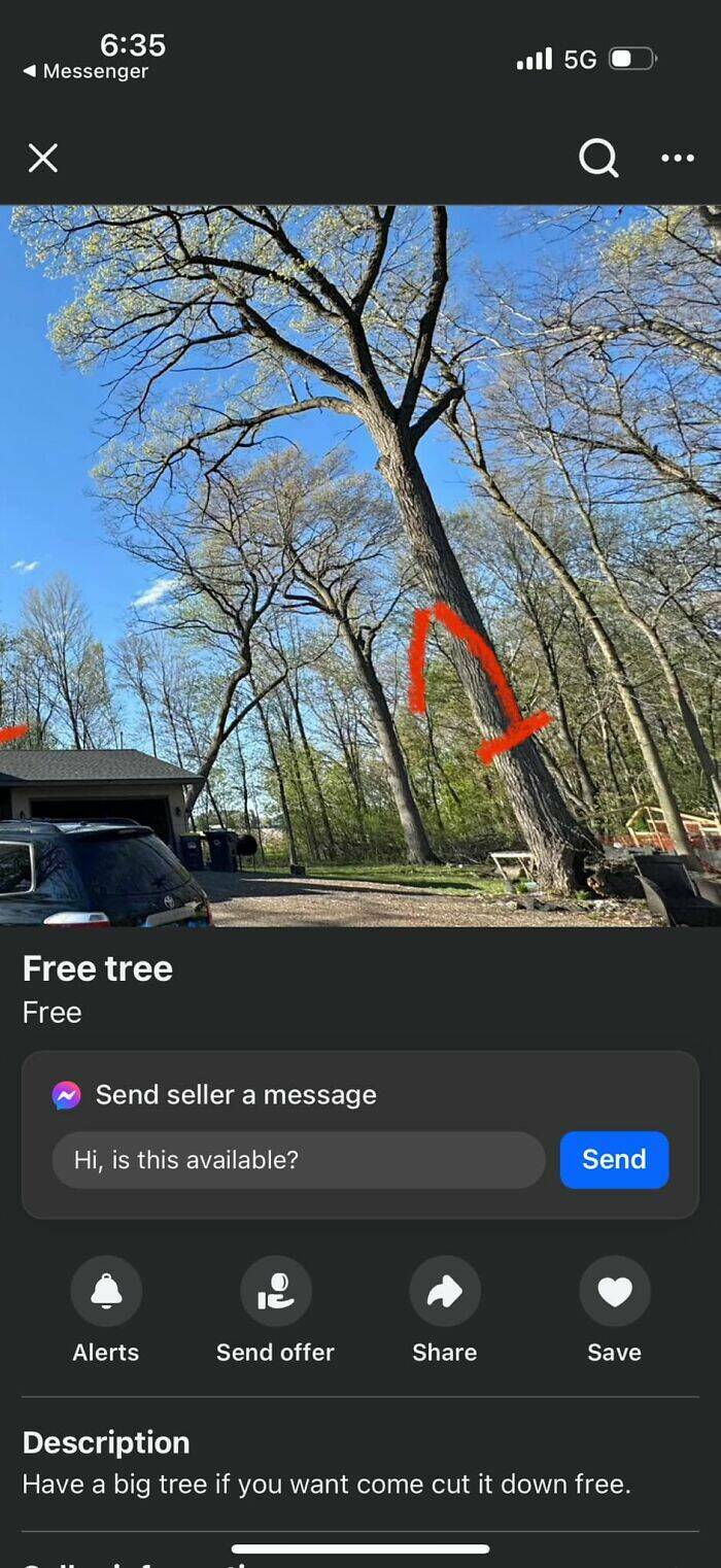 The Weirdest FB Marketplace Finds The Weirdest FB Marketplace Finds