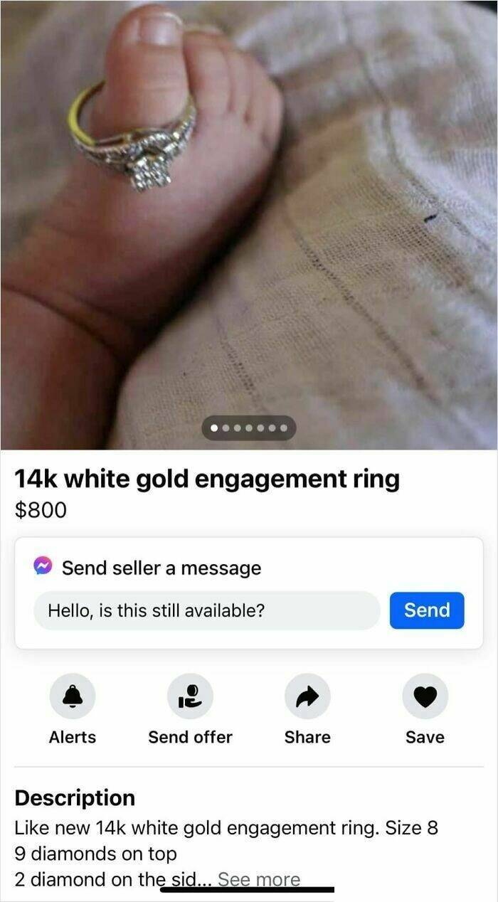 The Weirdest FB Marketplace Finds The Weirdest FB Marketplace Finds