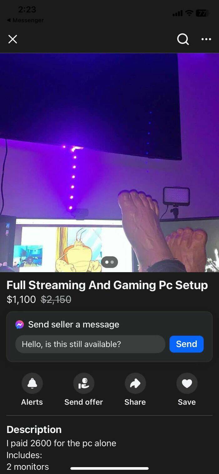 The Weirdest FB Marketplace Finds