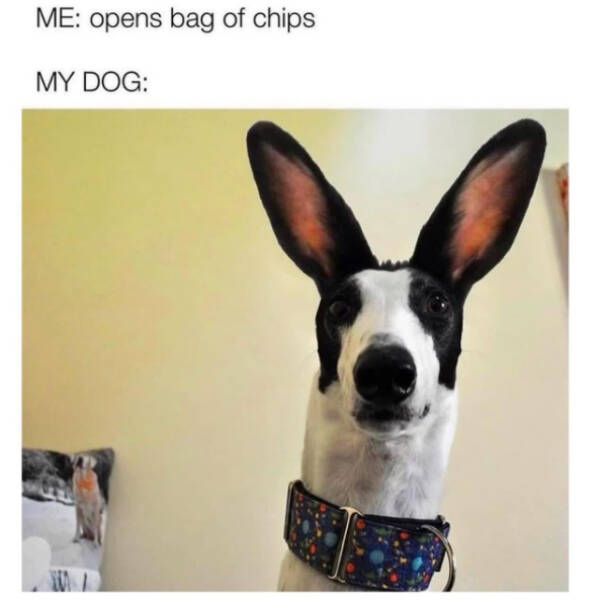 You Laugh, You Lose! Wanna Play?