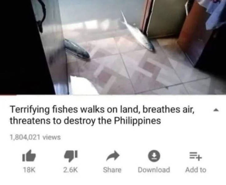 You Laugh, You Lose! Wanna Play?