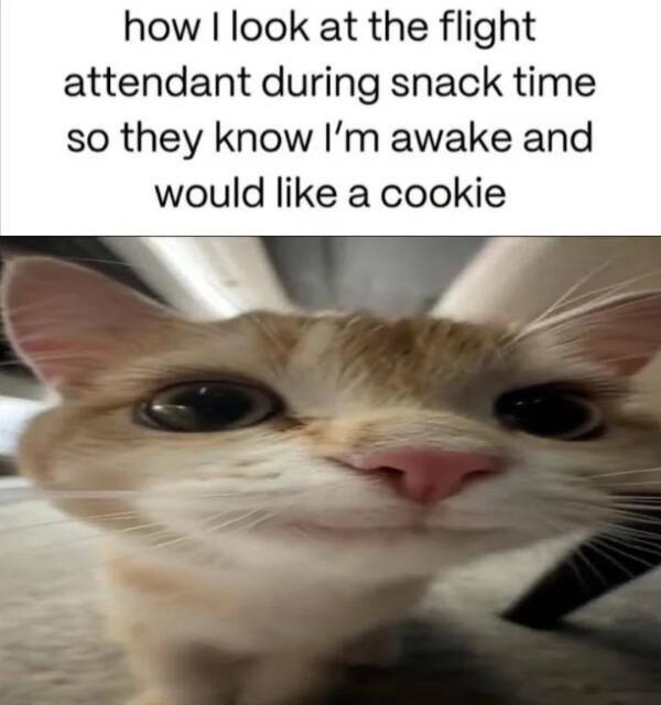 You Laugh, You Lose! Wanna Play?