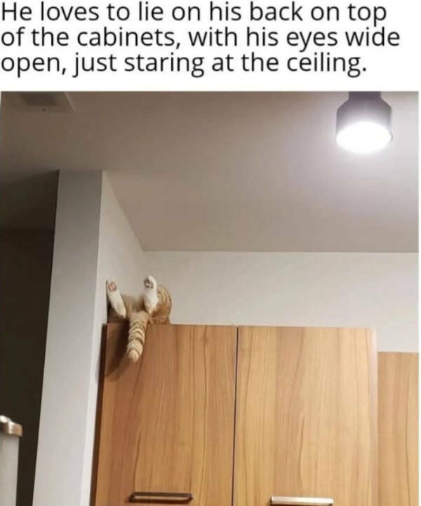 You Laugh, You Lose! Wanna Play?