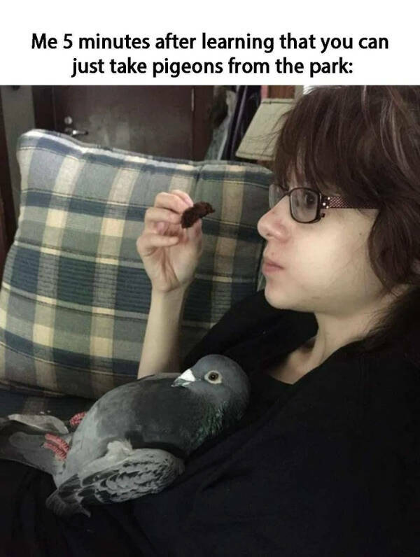 You Laugh, You Lose! Wanna Play?