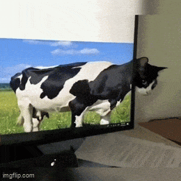 Daily Gifdump Daily Gifdump