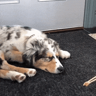 Daily Gifdump Daily Gifdump