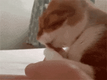 Daily Gifdump Daily Gifdump