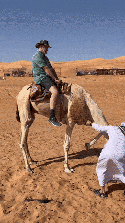 Daily Gifdump Daily Gifdump