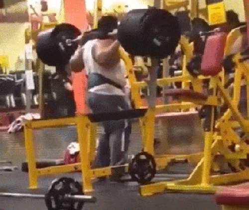 Daily Gifdump Daily Gifdump