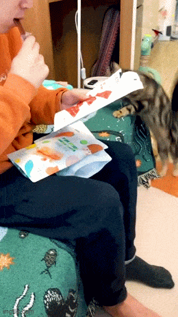 Daily Gifdump Daily Gifdump