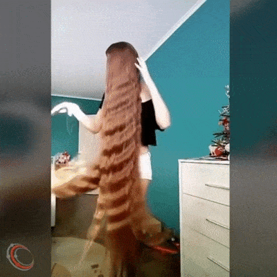 Daily Gifdump Daily Gifdump