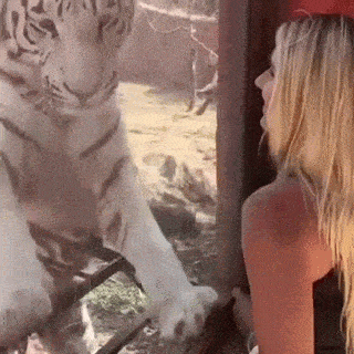 Daily Gifdump Daily Gifdump