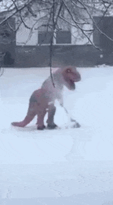 Daily Gifdump Daily Gifdump