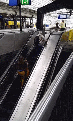 Daily Gifdump Daily Gifdump