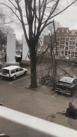 Daily Gifdump Daily Gifdump