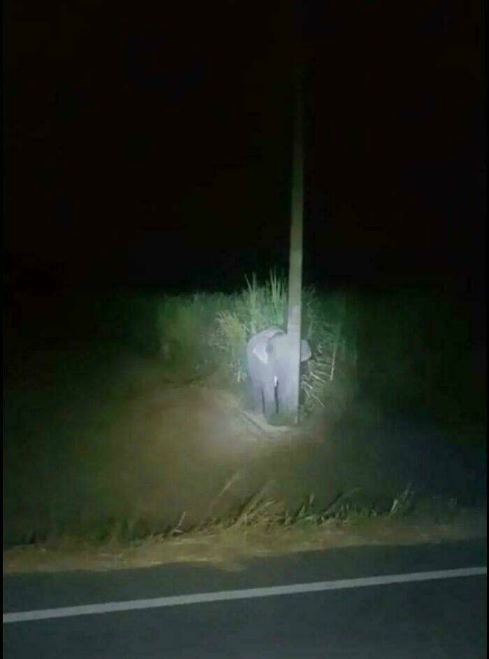 Heartwarming Moments Captured In Pictures