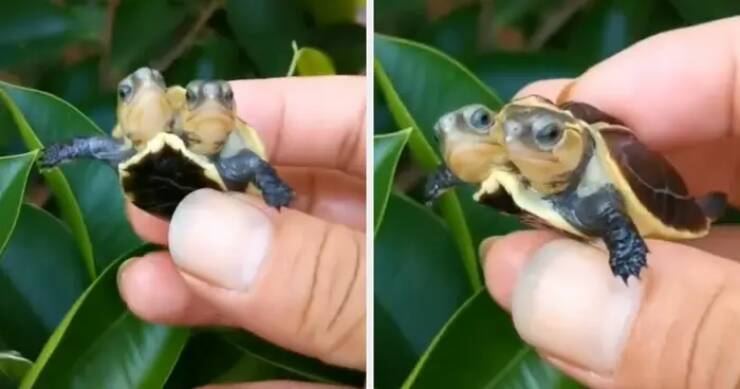 Incredible Images That Defy Expectations