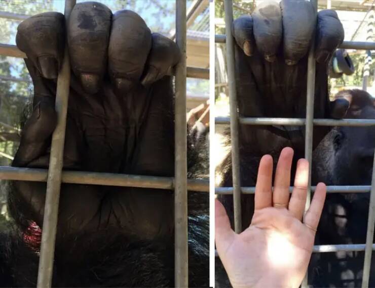 Incredible Images That Defy Expectations