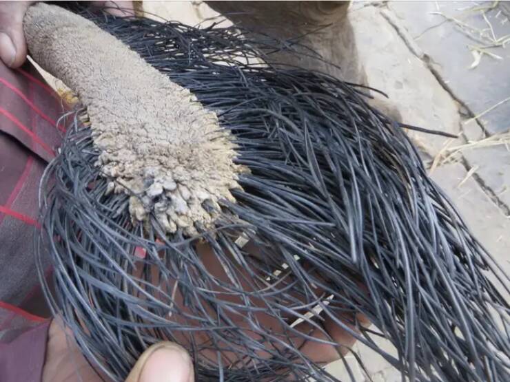 Incredible Images That Defy Expectations