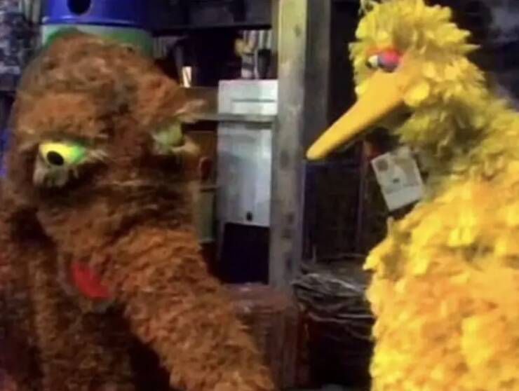 Incredible Images That Defy Expectations