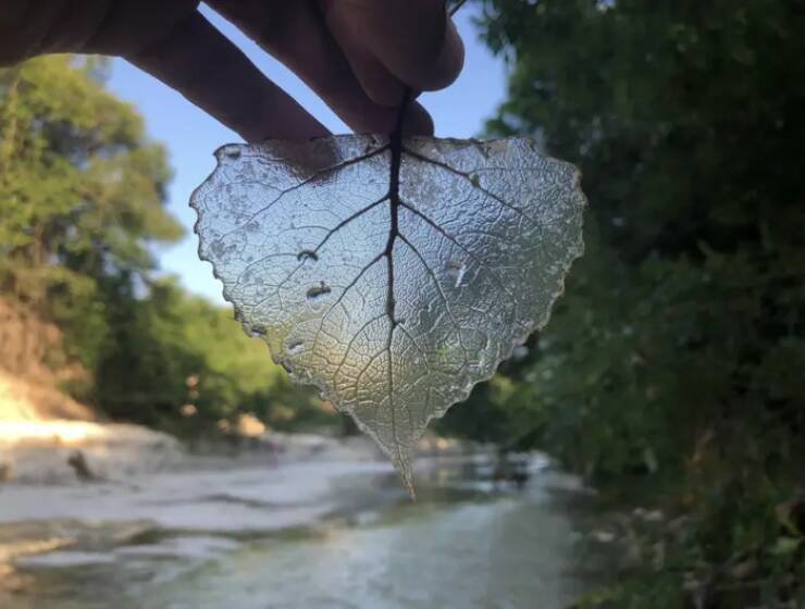 Incredible Images That Defy Expectations