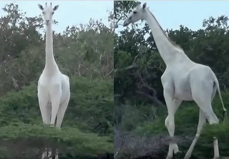 Incredible Images That Defy Expectations