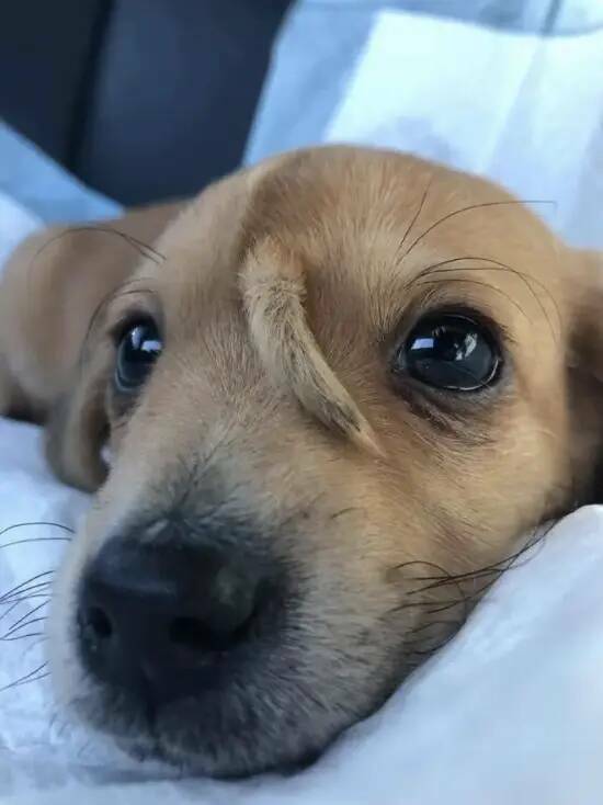 Incredible Images That Defy Expectations