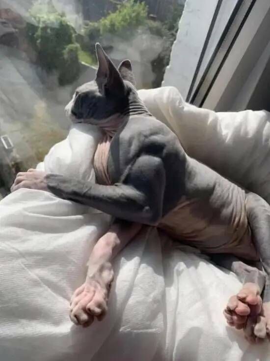 Incredible Images That Defy Expectations