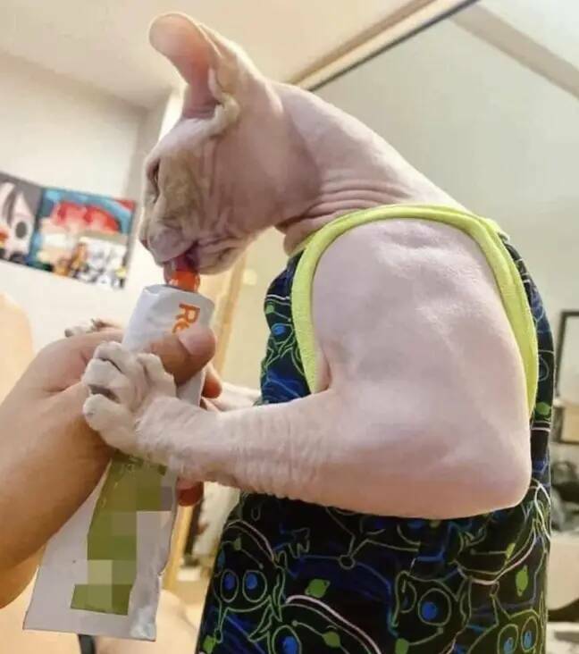 Incredible Images That Defy Expectations