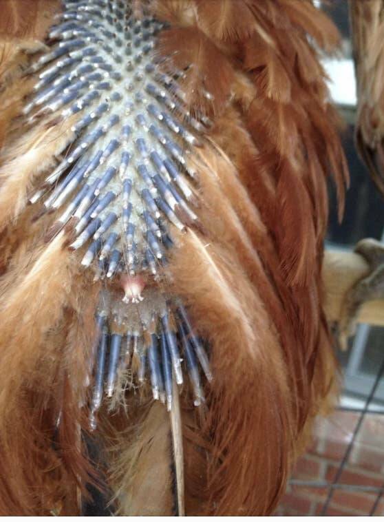 Incredible Images That Defy Expectations