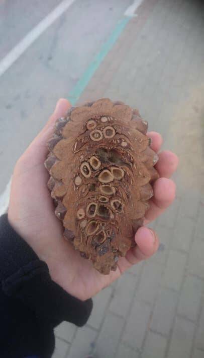 Incredible Images That Defy Expectations